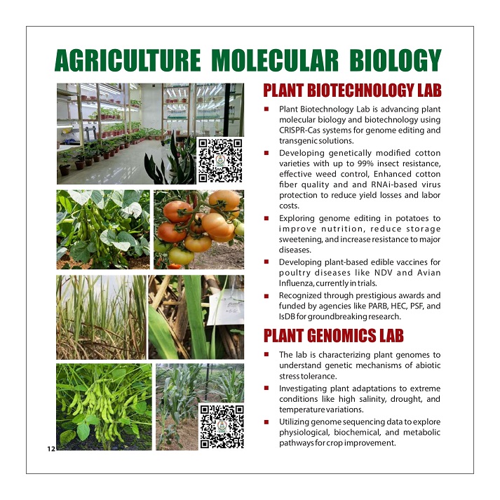 CEMB Information Booklet_page-0014