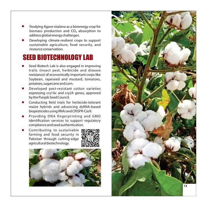 CEMB Information Booklet_page-0015